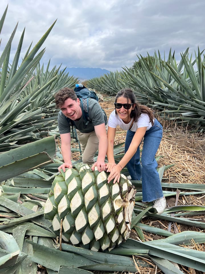 Пътуване в света на мескала