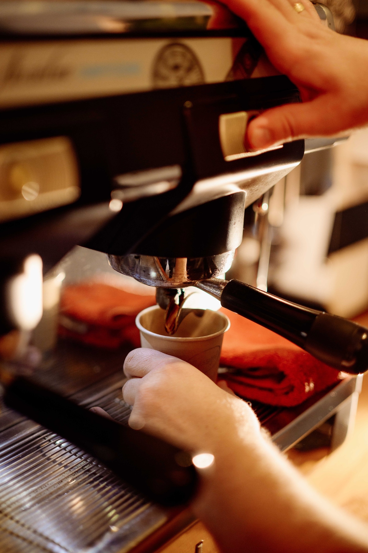 Brew Like a Pro: Hands-on Barista Experience