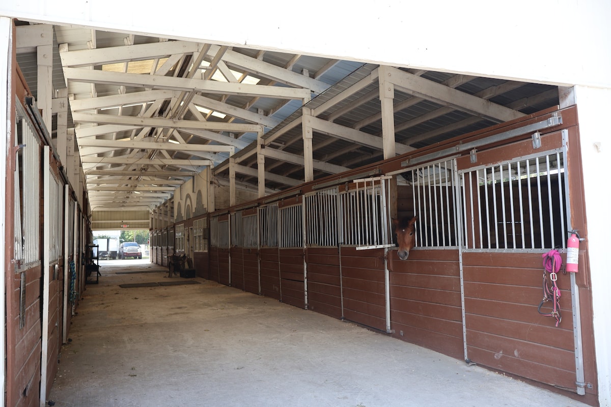 Horseback Riding Experience in Miami