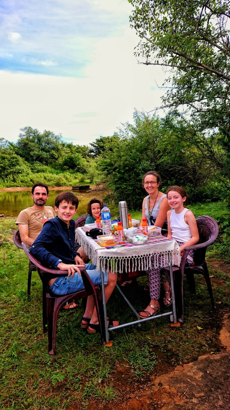 Udawalawe safari guided private tour 4 hours