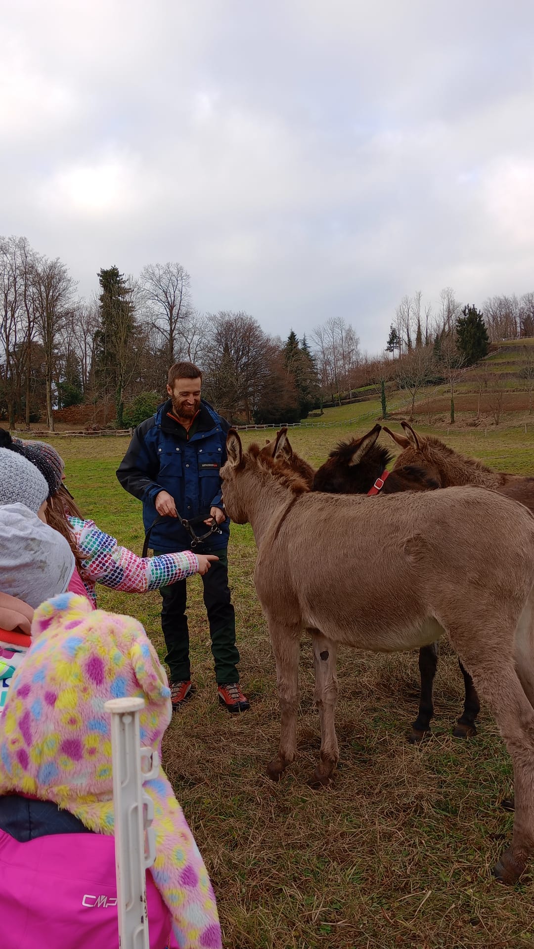 Trekking with donkeys and lunch at the agriturismo
