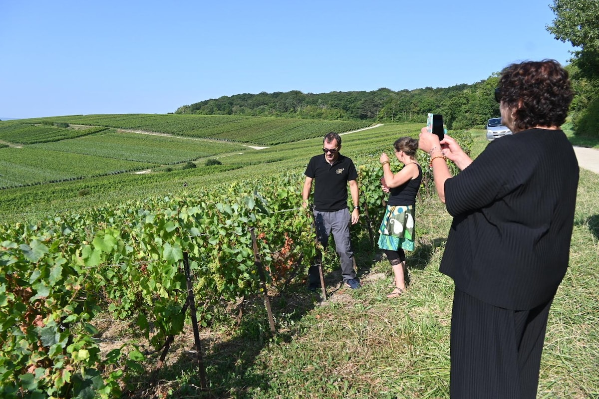 Discovering the Vineyard and Tasting