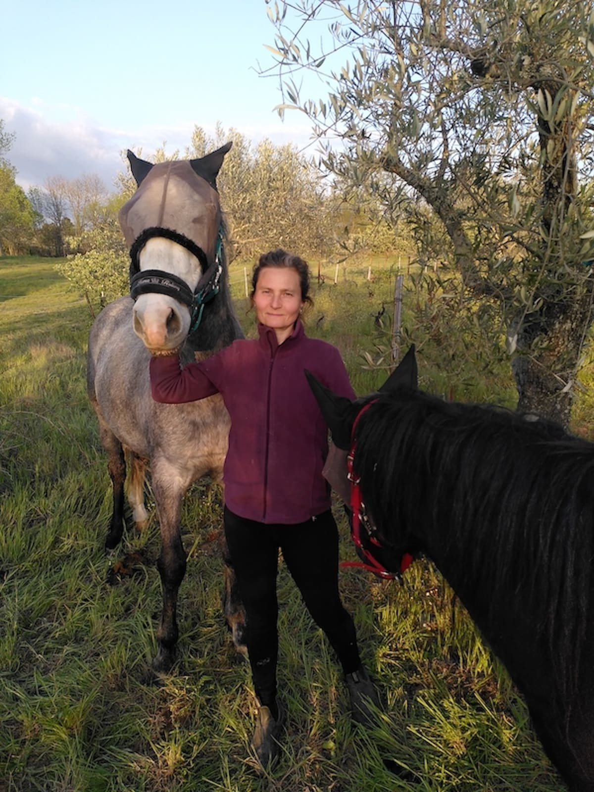 Organic Farm & Animals: Family Nature Immersion