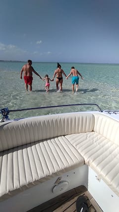 Lancha rápida privada VIP: delfines e islas escondidas