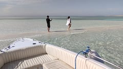 Lancha rápida privada VIP: delfines e islas escondidas