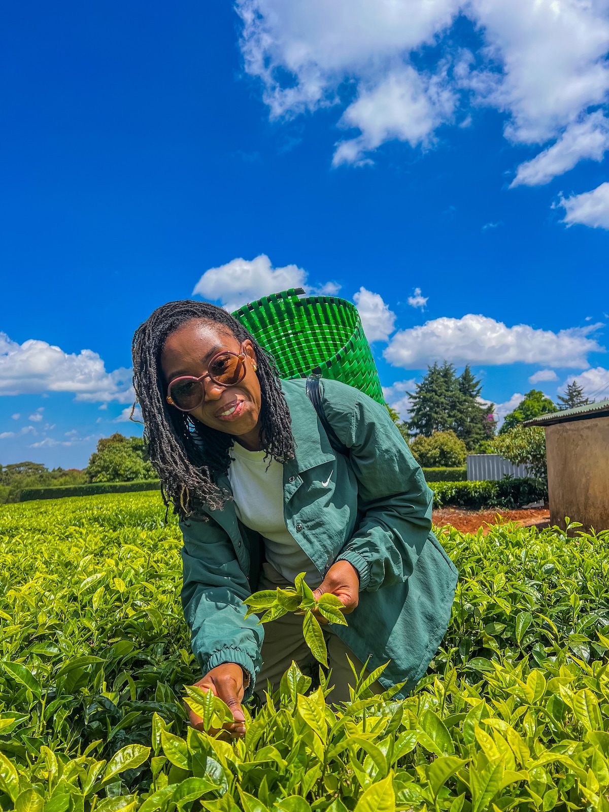 Tea Farm Tour in Tigoni