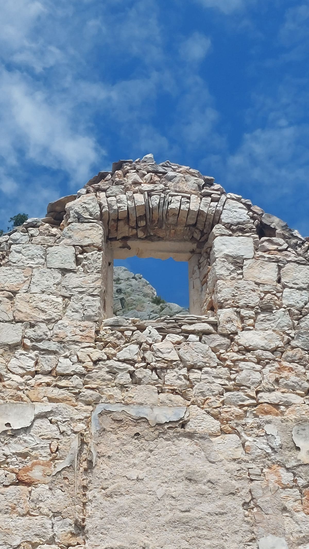 Medicinal plants tour on Brač island