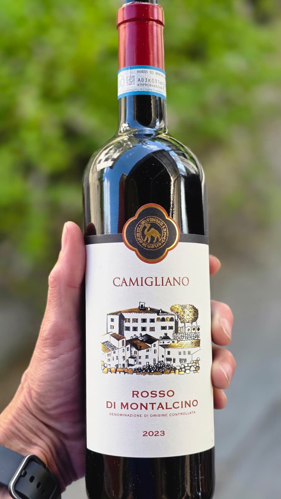 Wine tasting in Barga in the heart of nature