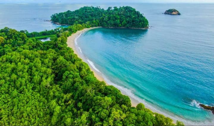 Visite d'une journée : Manuel Antonio et Crocs avec un habitant