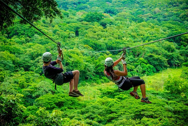 Visite d'une journée : Manuel Antonio et Crocs avec un habitant