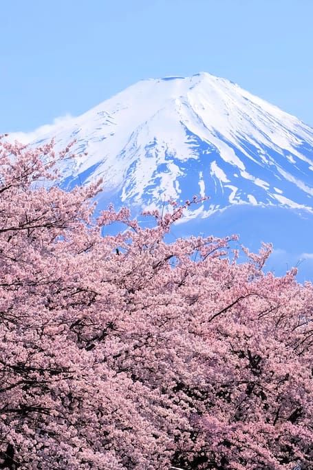 Mt Fuji & Hakone 1-Day Tour Return by Bullet Train