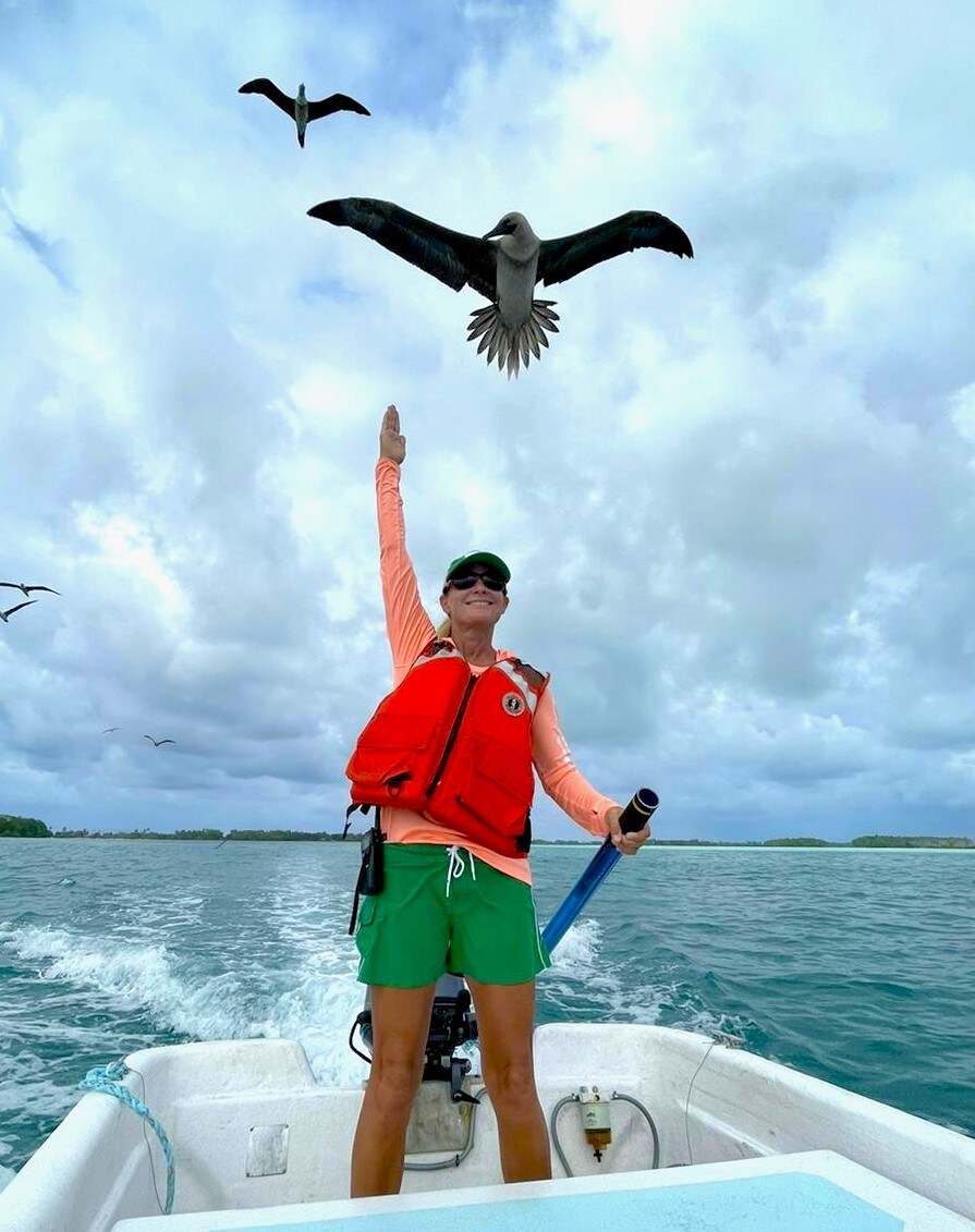 Shark tooth Island kayaking adventure
