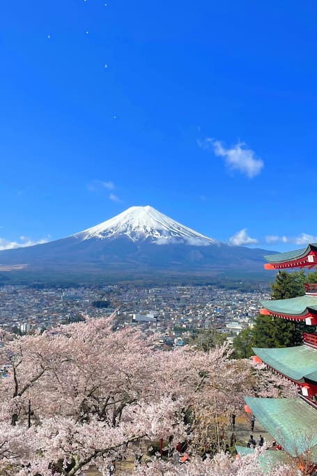 From Tokyo: Explore Mt Fuji’s Iconic Views