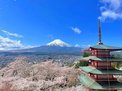 From Tokyo: Explore Mt Fuji’s Iconic Views