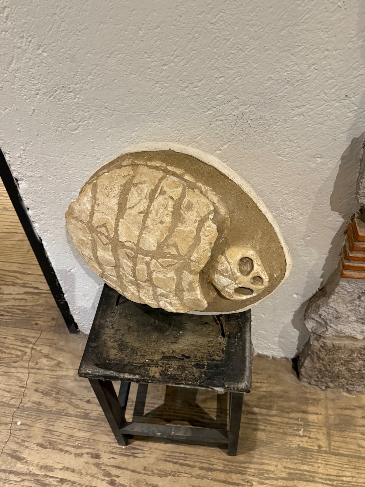 Visit to the Hacienda la Josefina collection