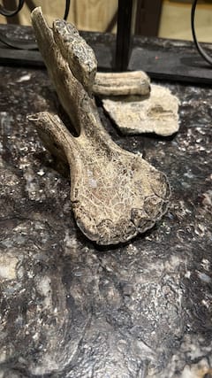 参观哈辛达拉约瑟菲娜博物馆