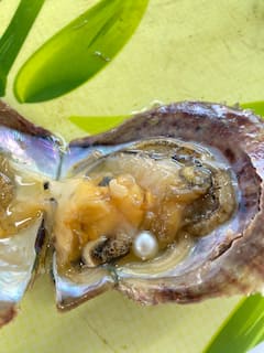 Kehidupan di Utara: Rumah Stilt & Kuliner Gunung