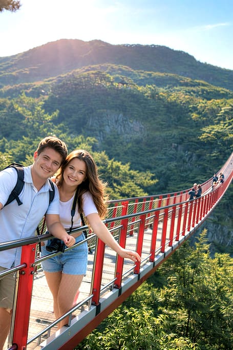 Explore the Dmz and Red Suspension Bridge