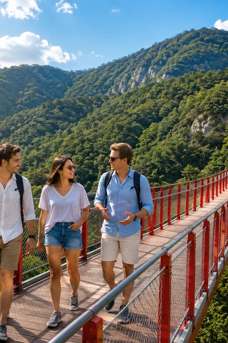 DMZ: North Korean Defector & Red Suspension Bridge