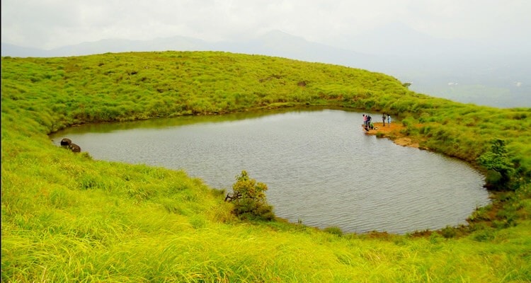 Guided Trek to Chembra Peak