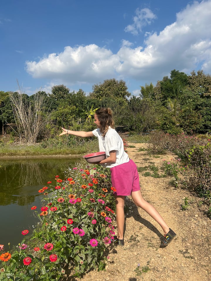 მშვიდი ცხოვრება ტაილანდურ ბაღში კულინარიული გაკვეთილით