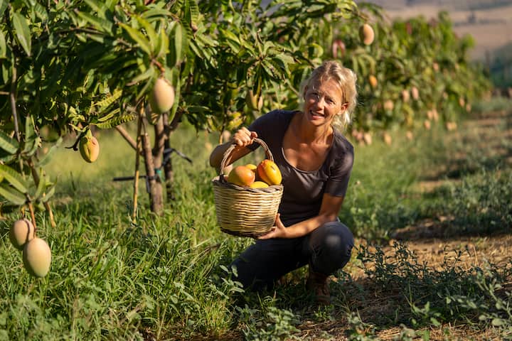 В провинцията в Сицилия: от земята до масата