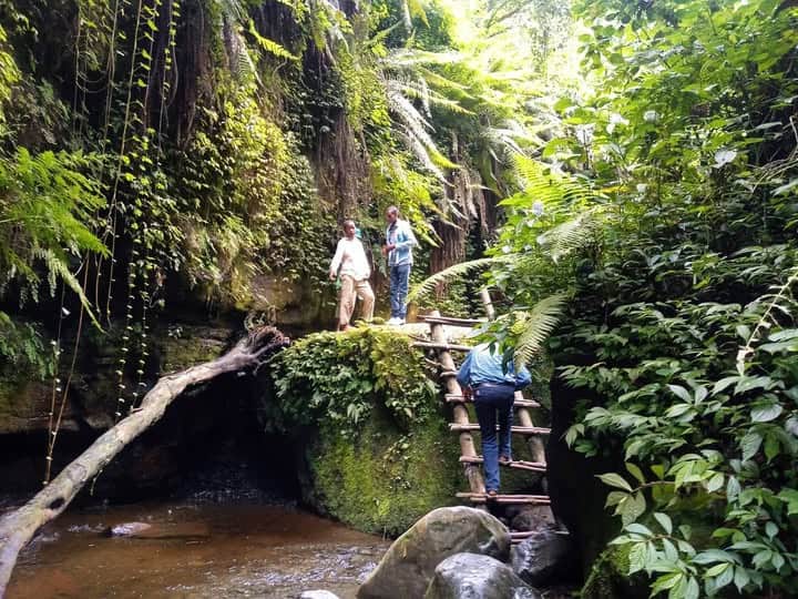 Разгледайте водопади близо до град Аруша