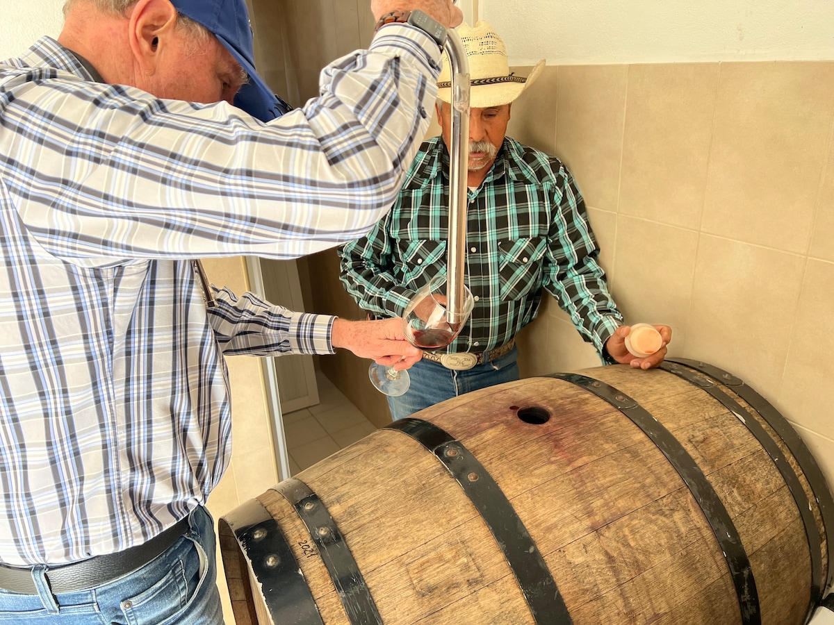 Guided tour of Blanc Vineyards and wine tasting