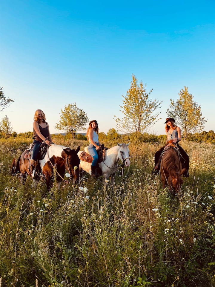 ნახევარდღიანი გასეირნება ბარაჩის მღვიმეებში