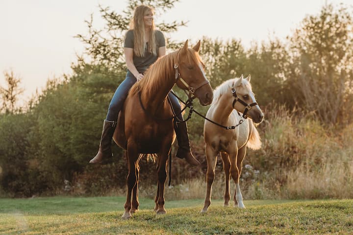 Ndërveprim me kuaj me udhëzues