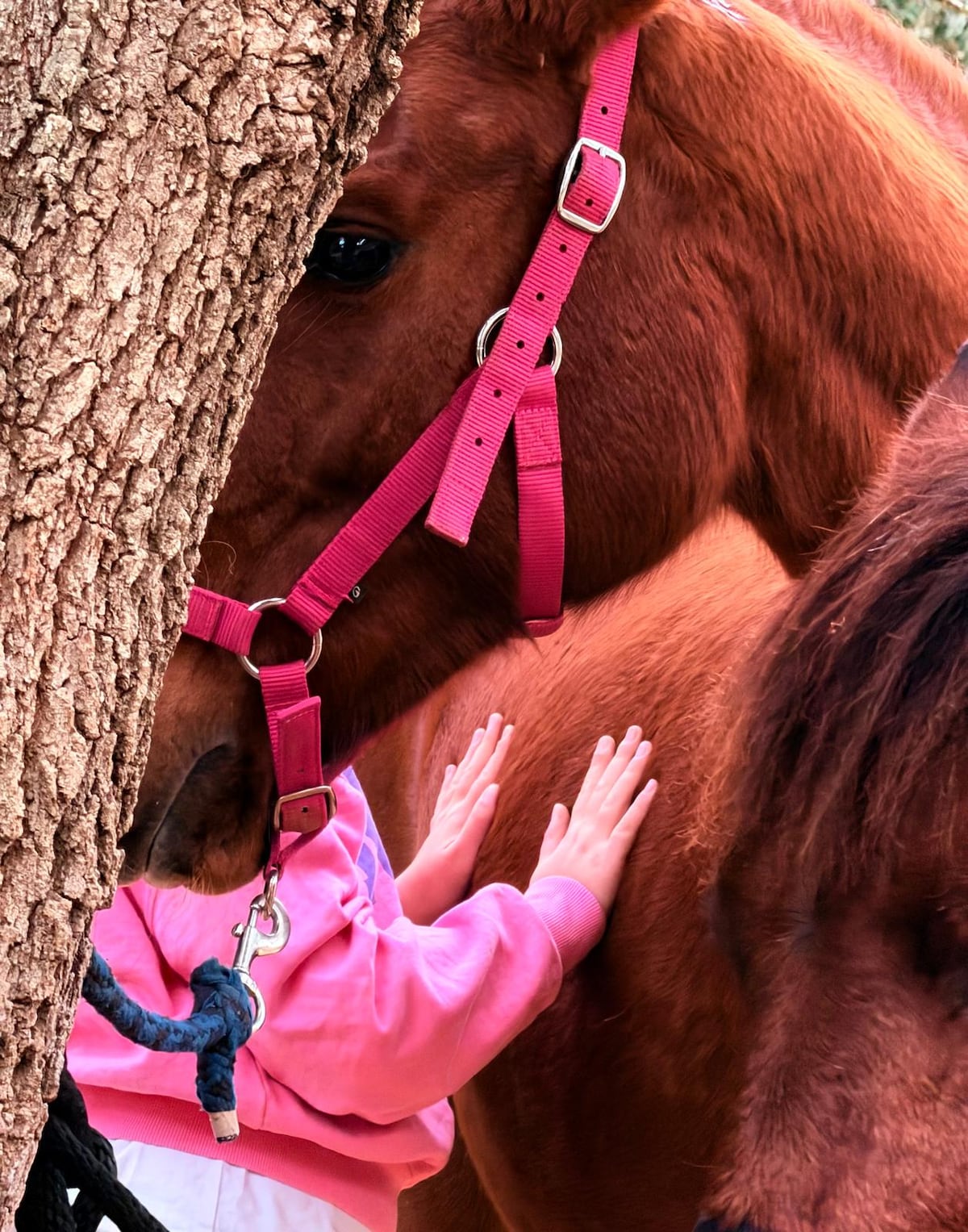 Whisper to horses with an equine therapist