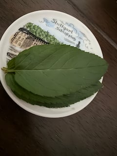 ליצור קולקציית ספא טבעית משלכם