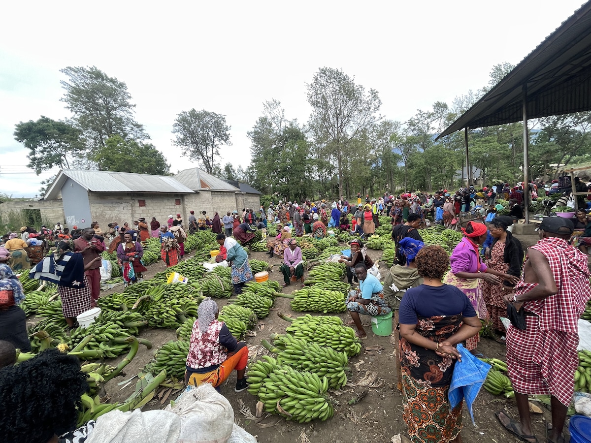 Vegan Market-to-Table Cooking Experience in Arusha