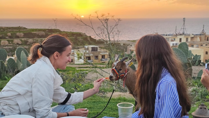 Picnic and sunset walk with goats · ☆5.0