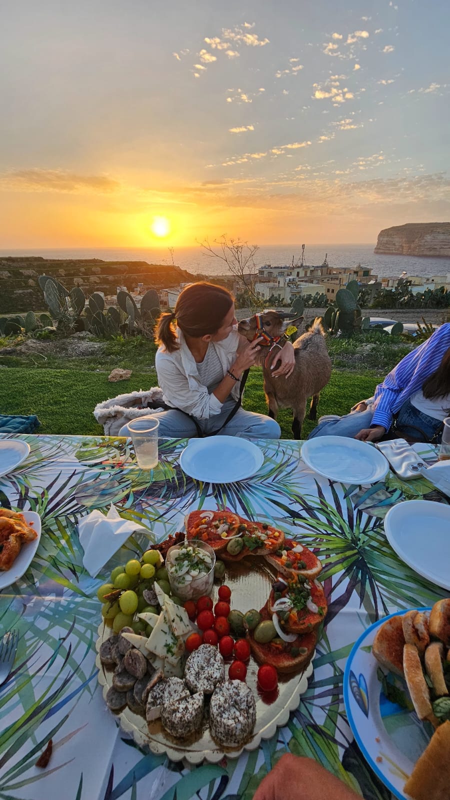 Picnic and sunset walk with goats