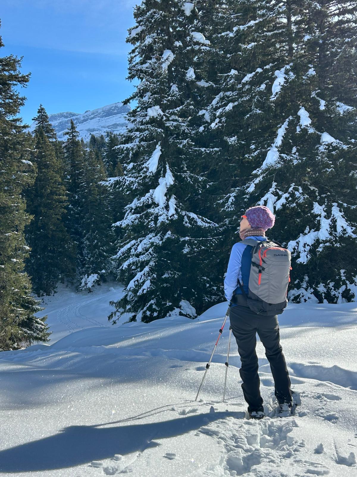 Snowshoe in crisp white landscapes with a guide