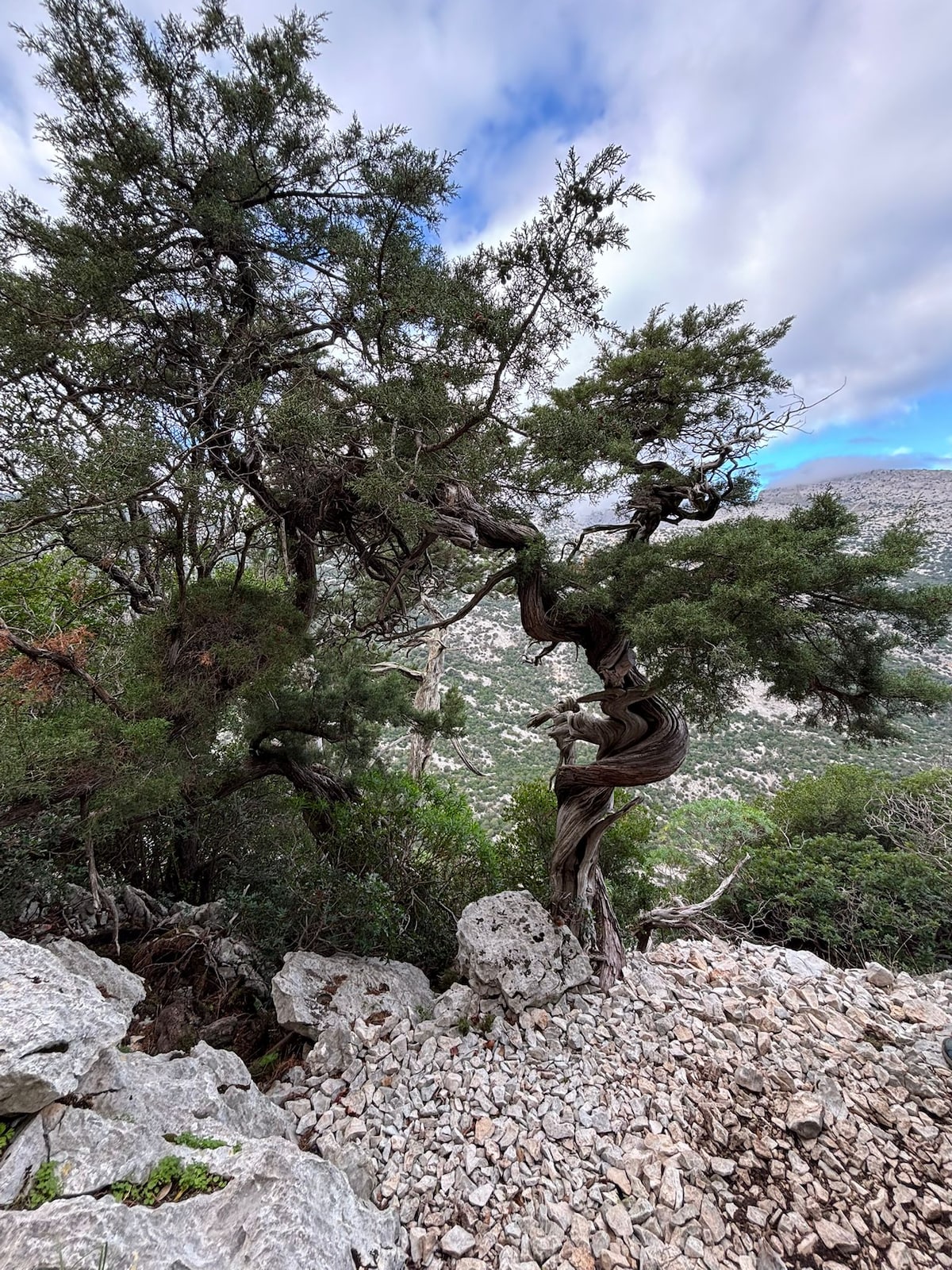 Guided hike to the hidden village of Tiscali