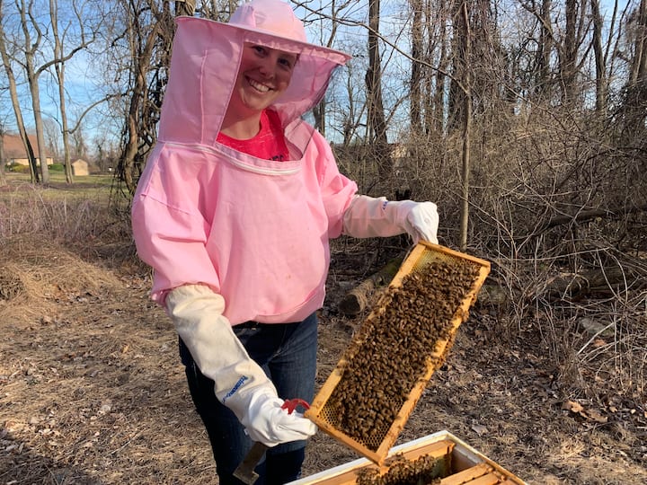 Опитайте пчеларството от първа ръка