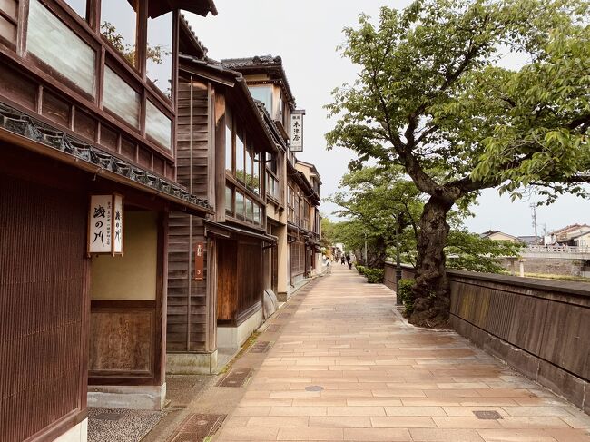 Serene Morning in Kanazawas Geisha District - Walk Higashi Chaya and Shukkeicho