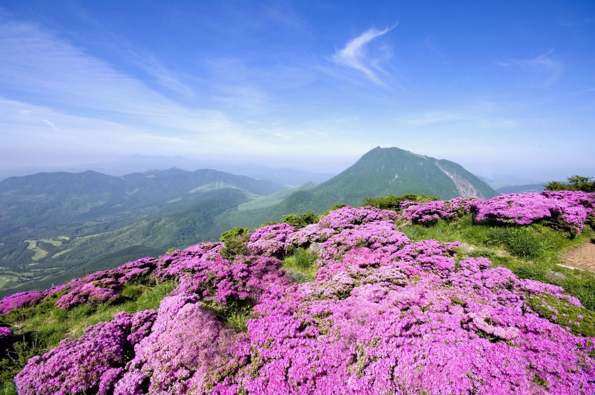 Explore the mountains of Kyushu with a local guide