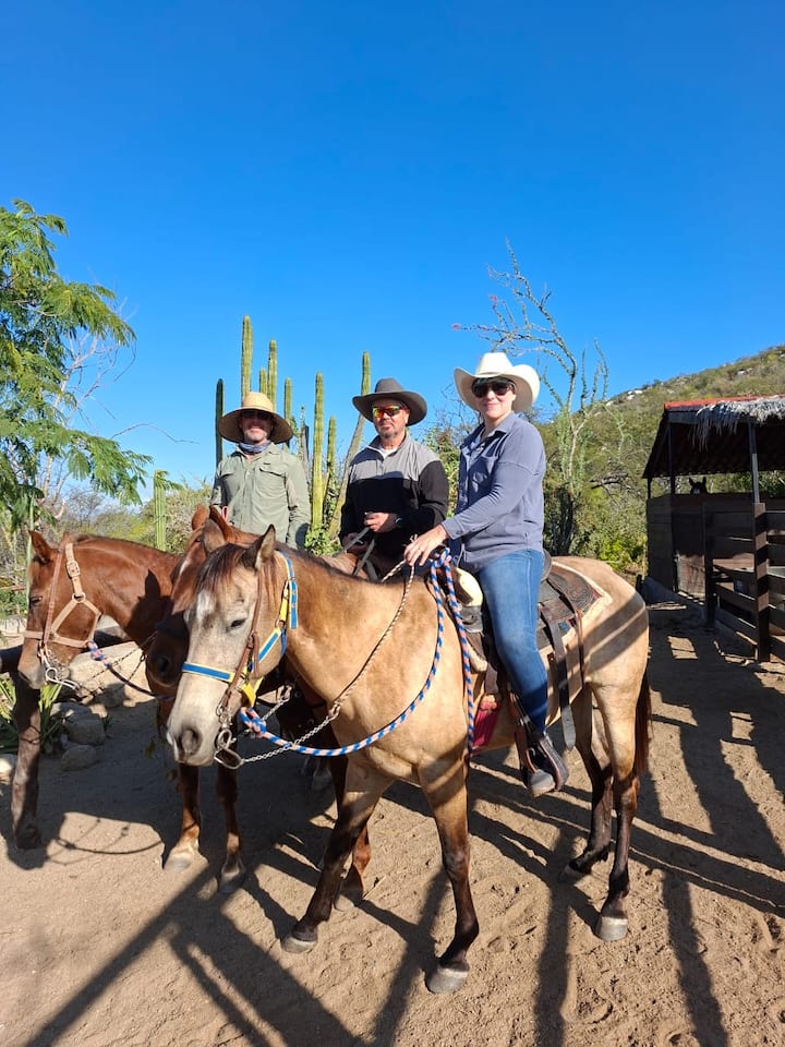 Изкуството да яздиш в пустинята