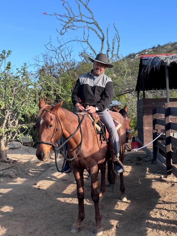 Изкуството да яздиш в пустинята