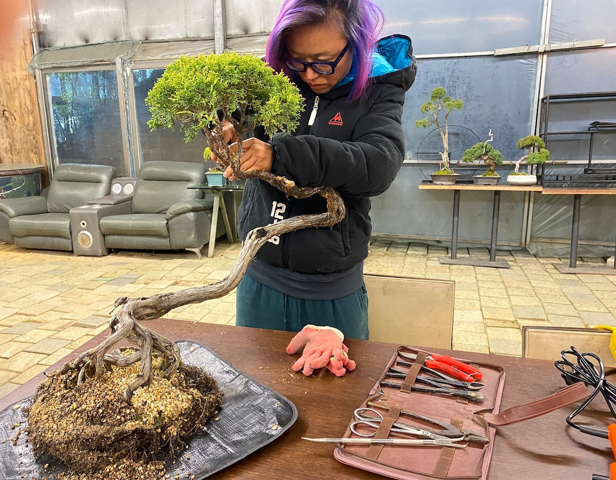 Hands-On Bonsai Workshop in a Living Museum