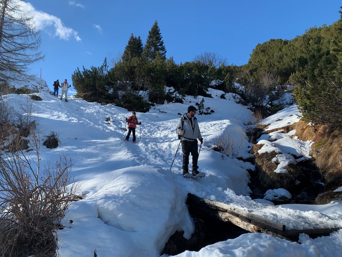 Snowshoeing in San Bernardino