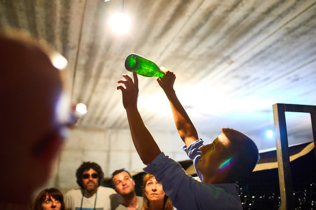 The bubbles of the Berici Hills: tour and tasting