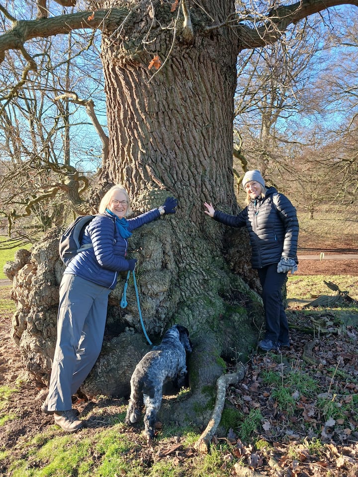 Квалифициран специалист по лечебни сесии сред природата