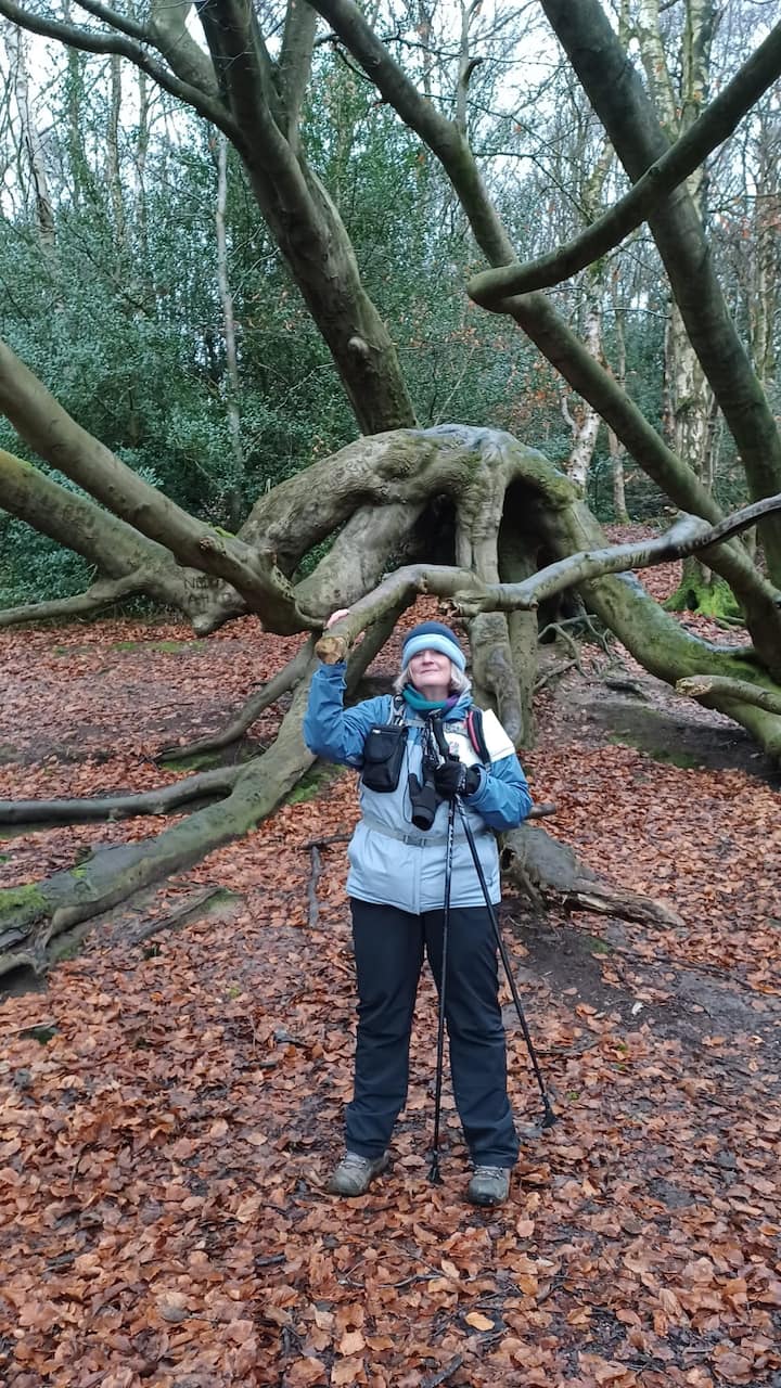 Квалифициран специалист по лечебни сесии сред природата