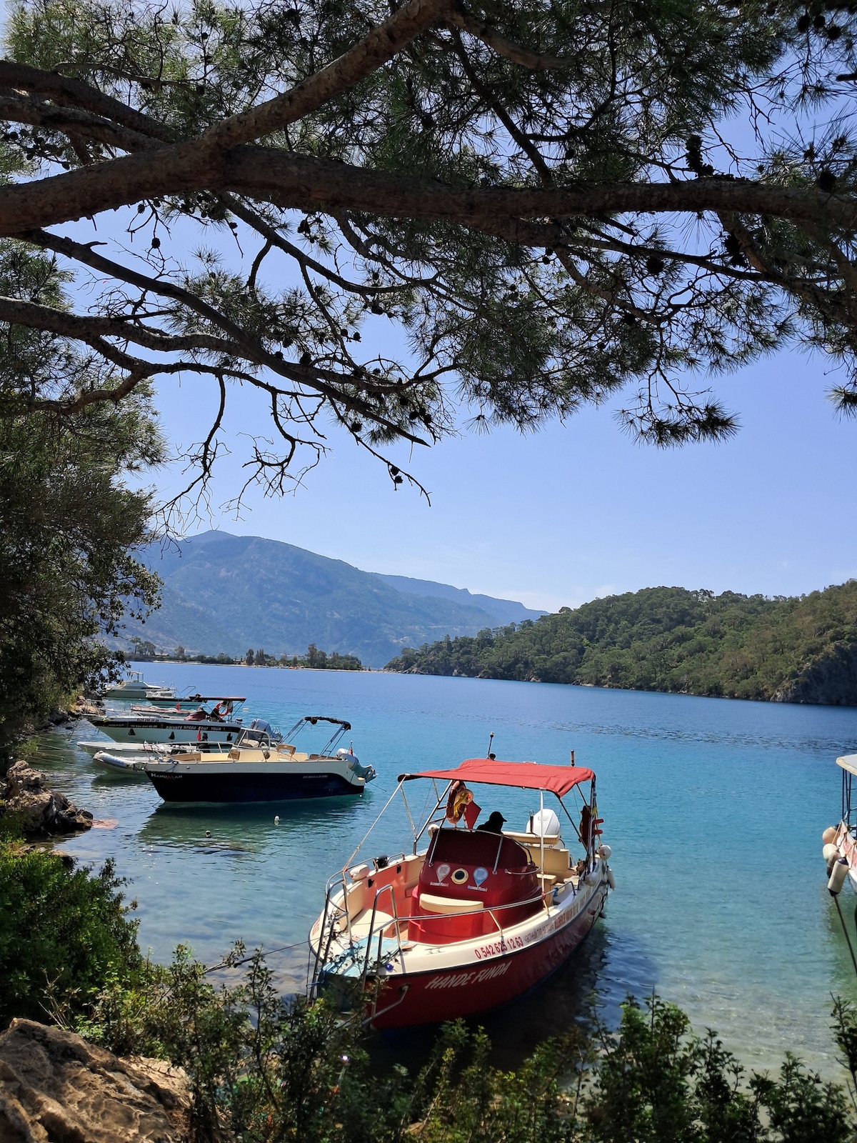 Coastal & forest hiking adventure near Ölüdeniz