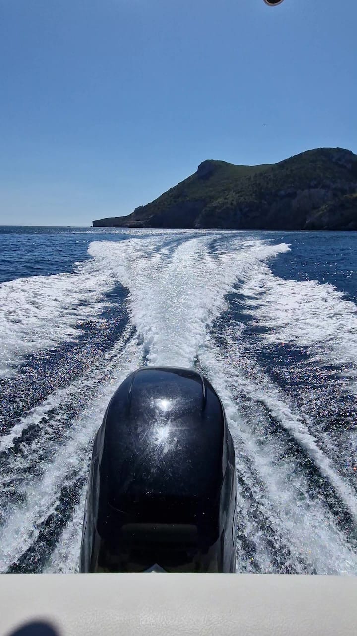 სესიმბრა/რიბეირა-დუ-კავალუ — სწრაფი კატარღა