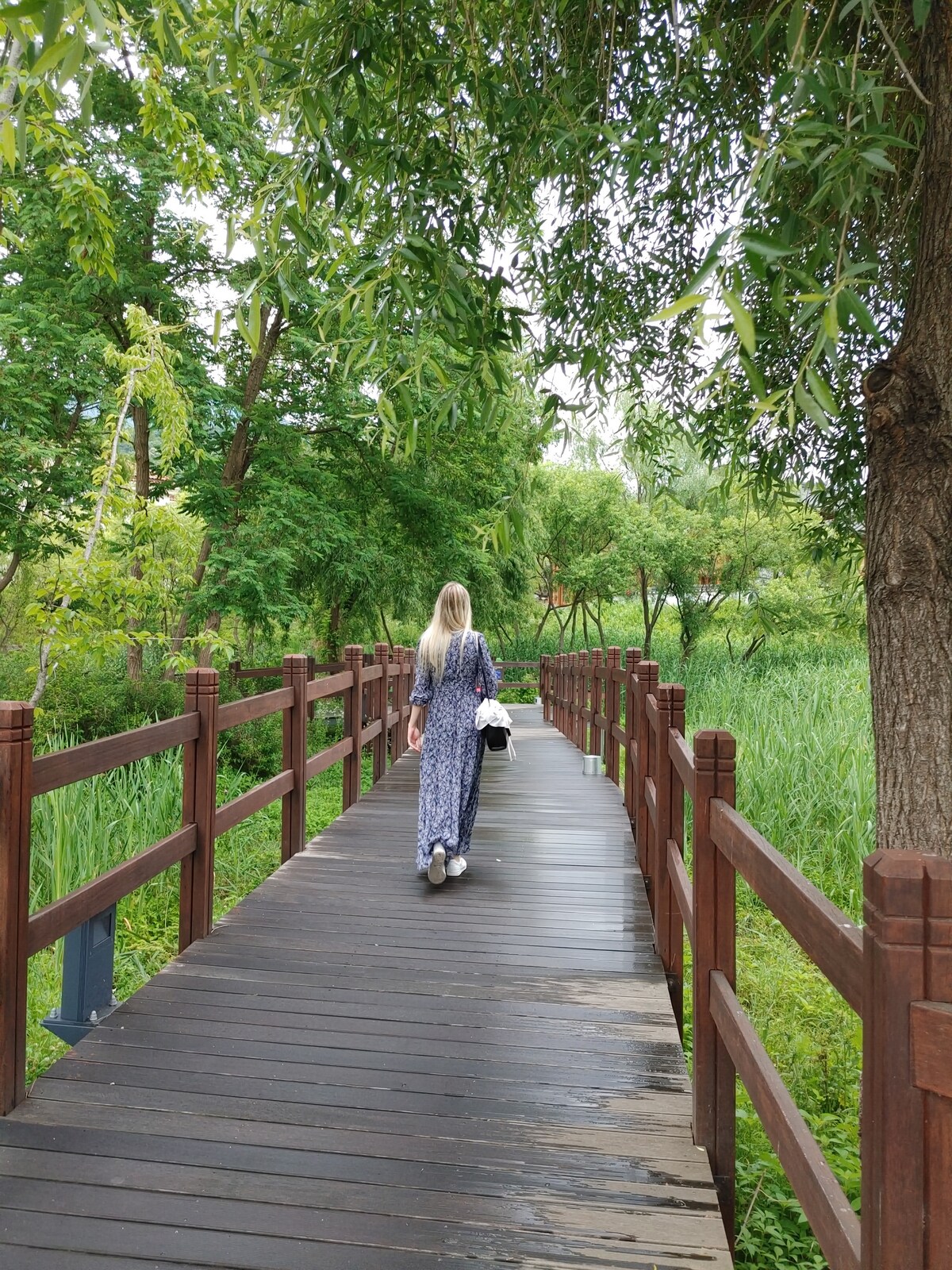 Visiting a Millennial temple and a local market